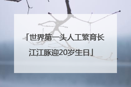 世界第一头人工繁育长江江豚迎20岁生日
