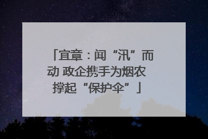 宜章：闻“汛”而动 政企携手为烟农撑起“保护伞”